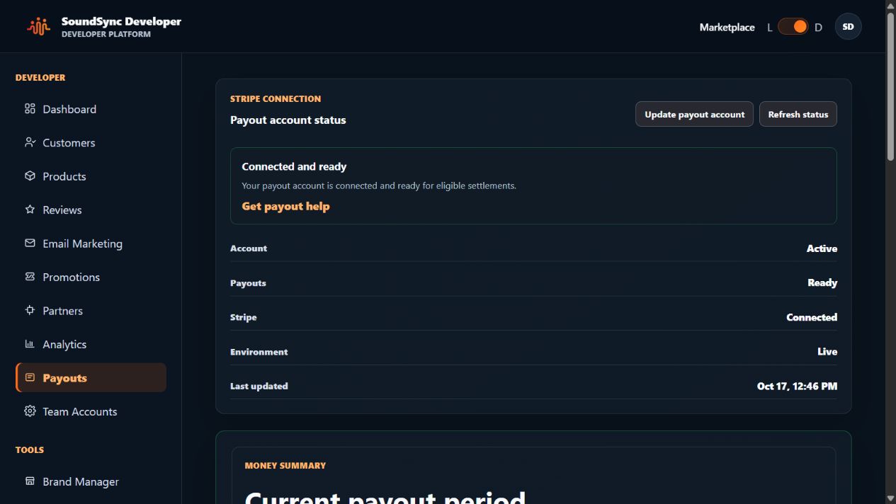 Current Stripe connection and payout-readiness panel without bank details or account identifiers.